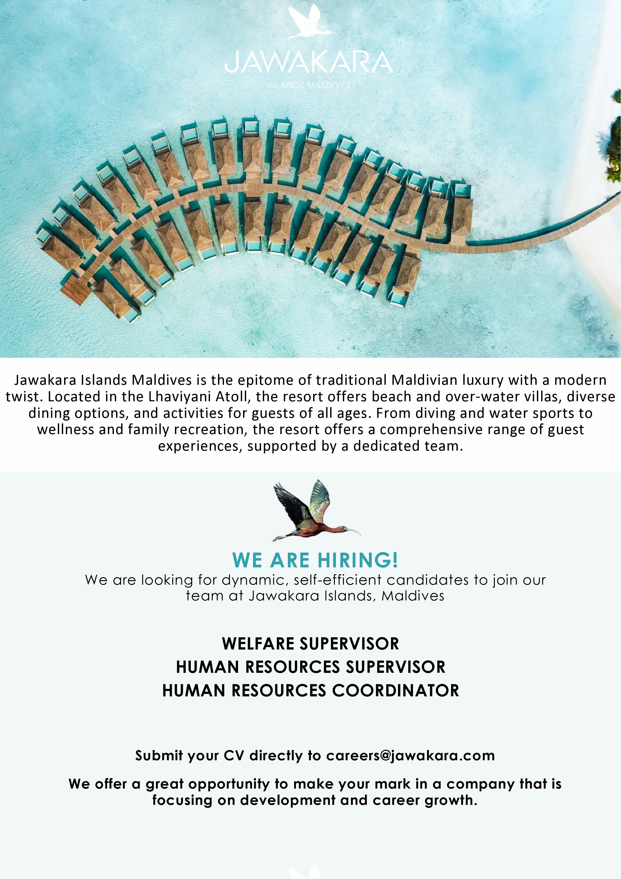 Оригинал объявления из источника job-maldives.com