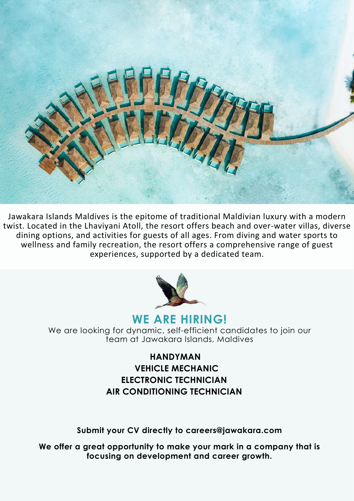 Оригинал объявления из источника job-maldives.com, страница 1