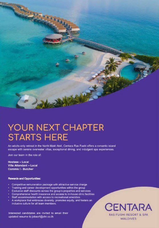 Оригинал объявления из источника t.me/jobmaldivess