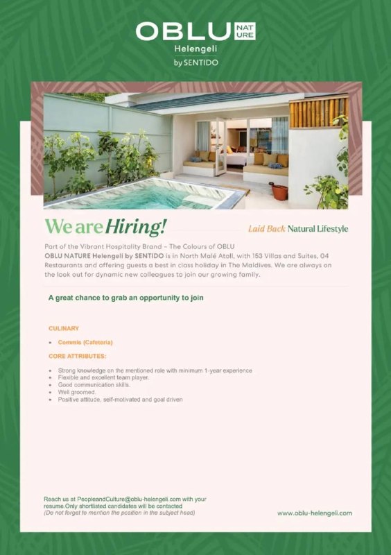 Оригинал объявления из источника t.me/jobmaldivess