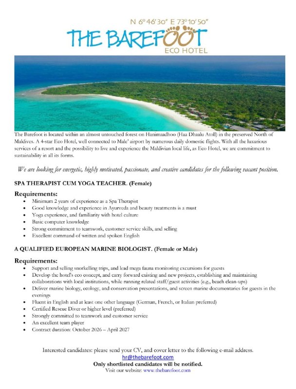 Оригинал объявления из источника t.me/jobmaldivess