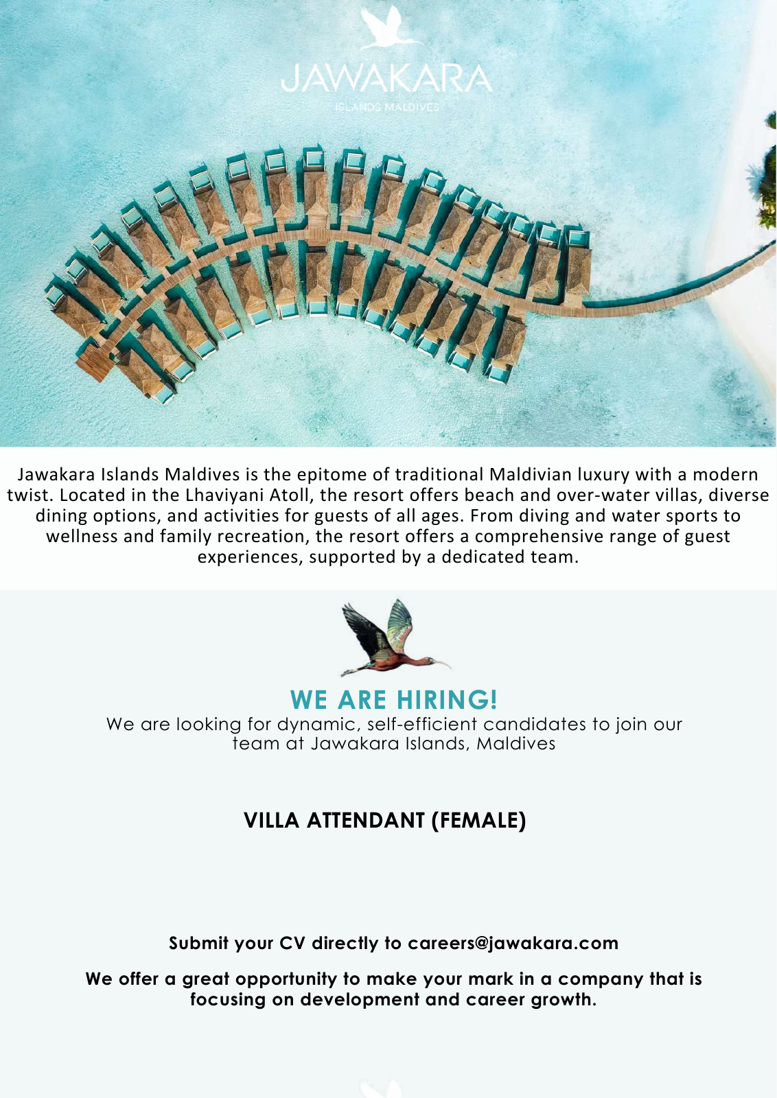 Оригинал объявления из источника job-maldives.com, страница 1