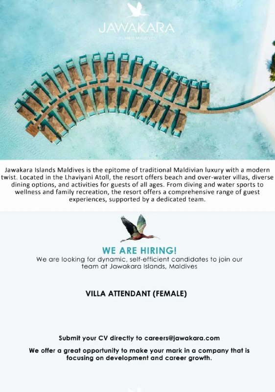 Оригинал объявления из источника t.me/jobmaldivess