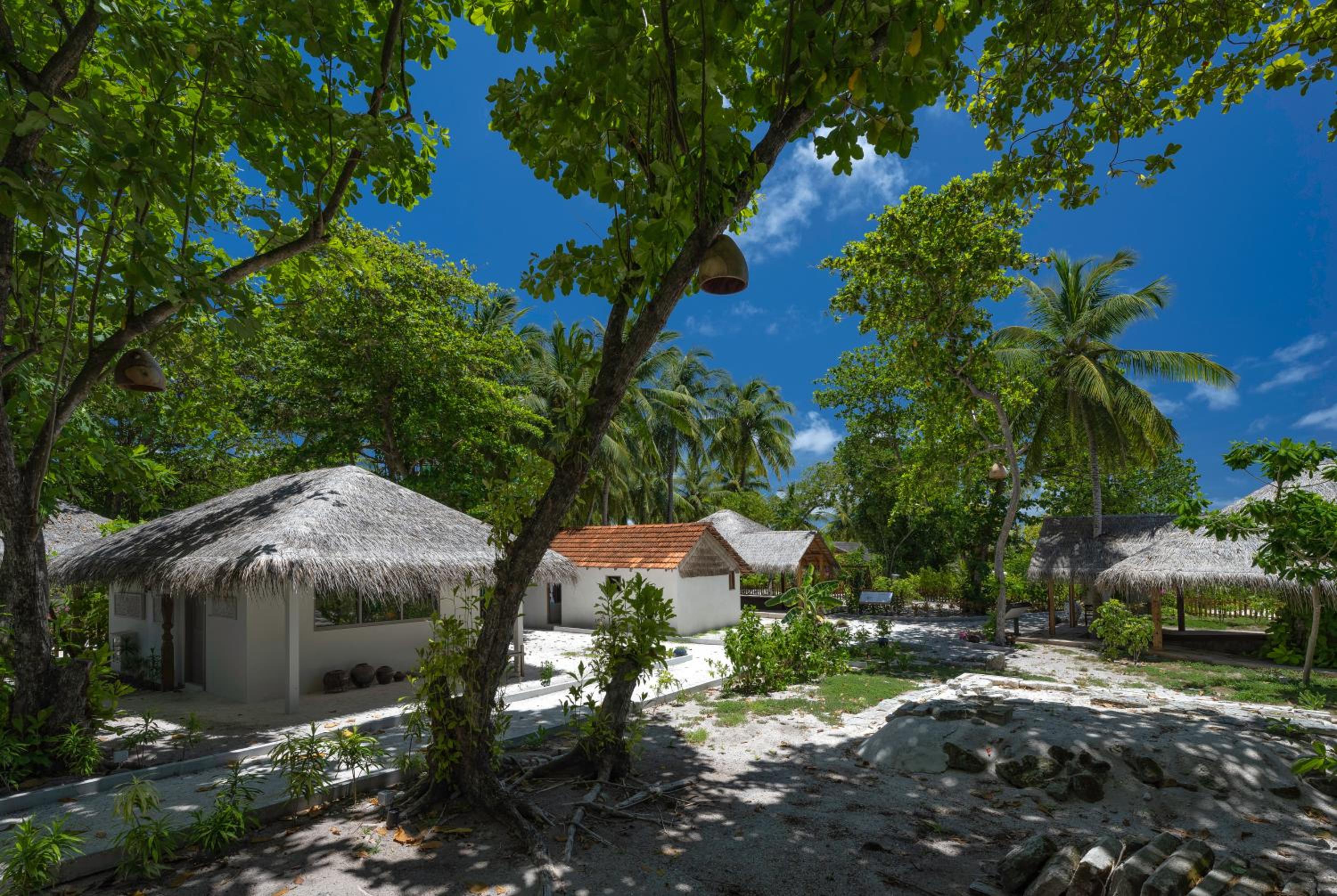 Cora Cora Maldives — снимок 17