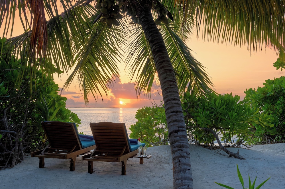 Canareef Resort Maldives — снимок 25