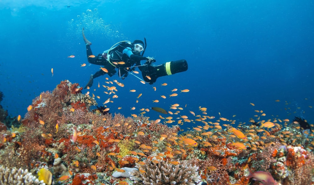 Four Seasons Resort Maldives at Landaa Giraavaru — снимок 12