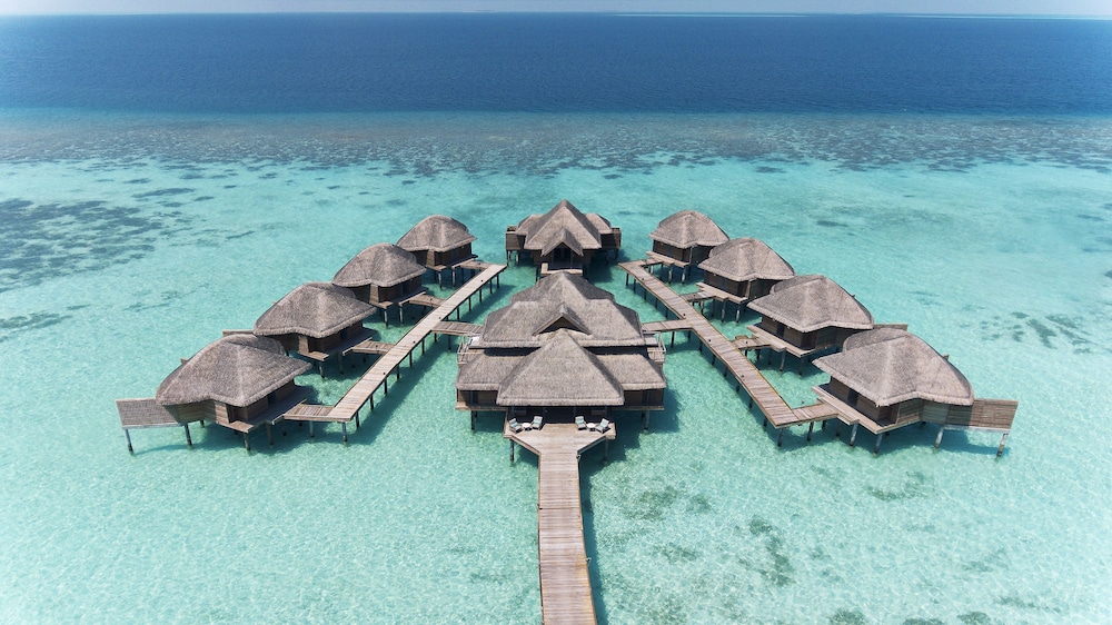Vakkaru Maldives — снимок 27