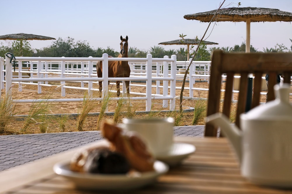 Anantara Desert Islands Resort & Spa — снимок 14