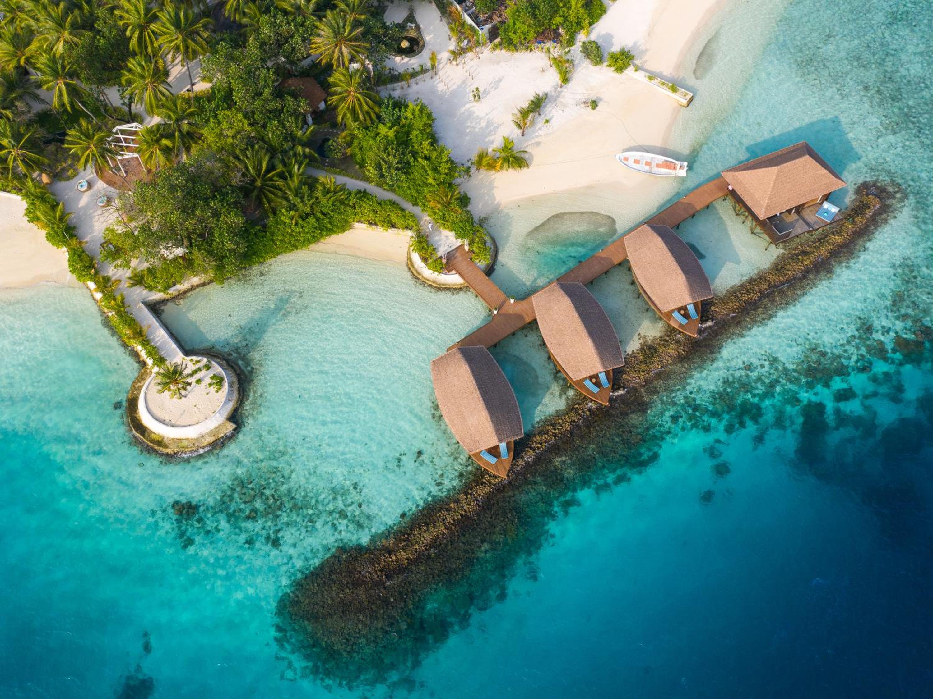 Bolifushi Island Resort — снимок 4