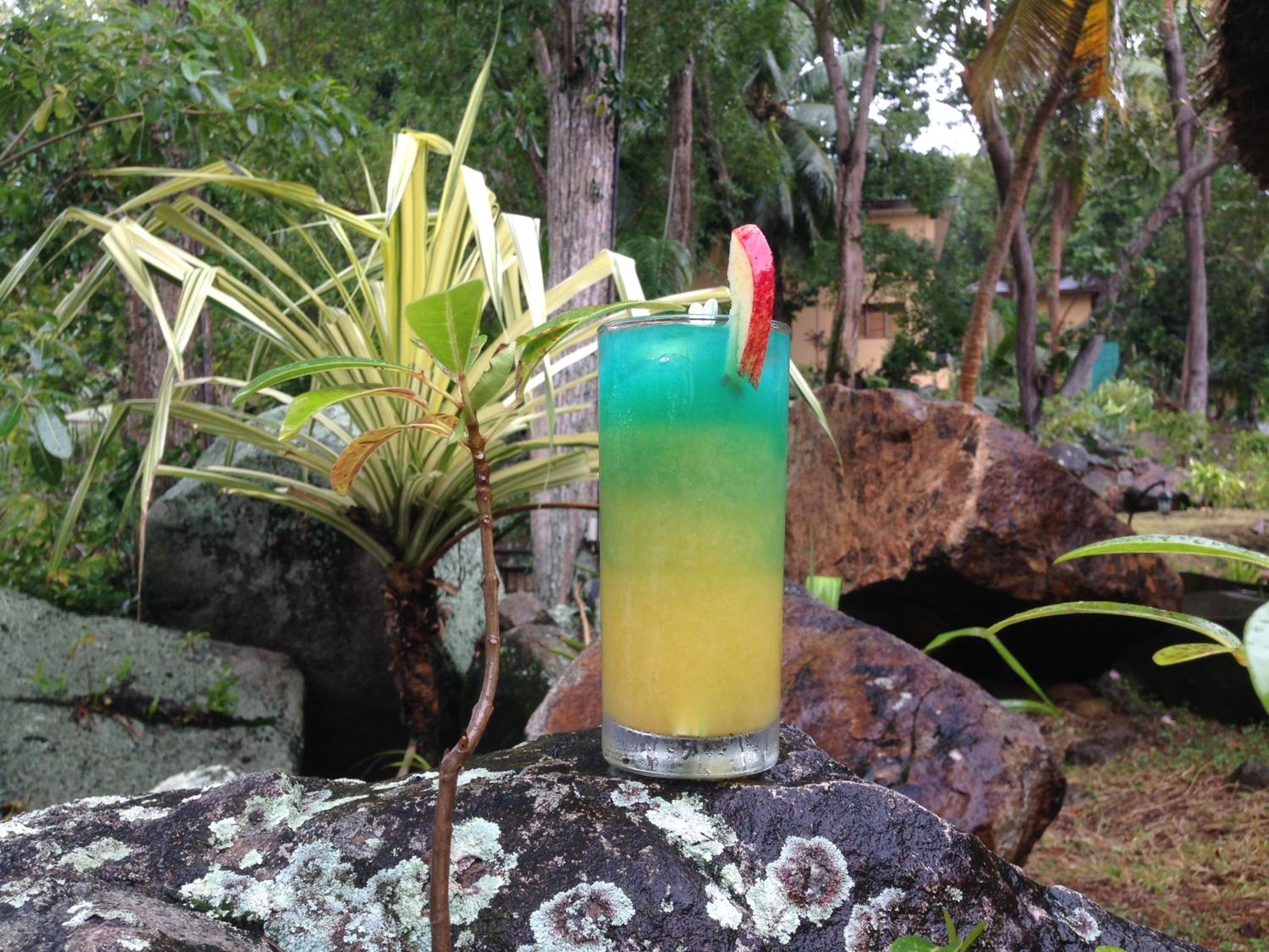 Cerf Island Resort — снимок 16
