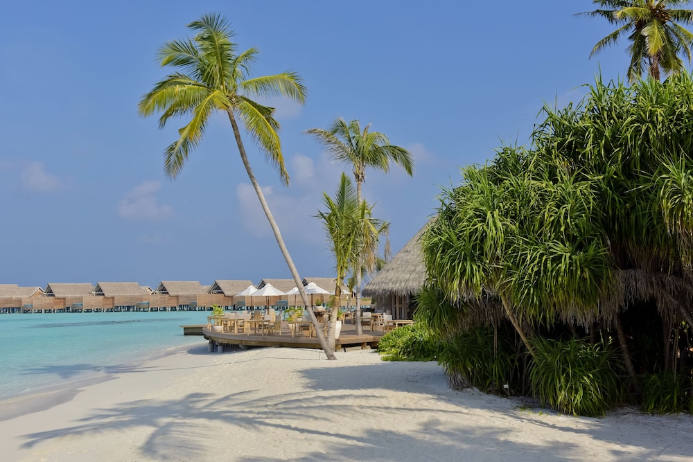 Milaidhoo Island Maldives — снимок 15
