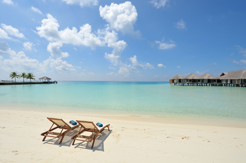 Niva Velassaru Maldives — снимок 21