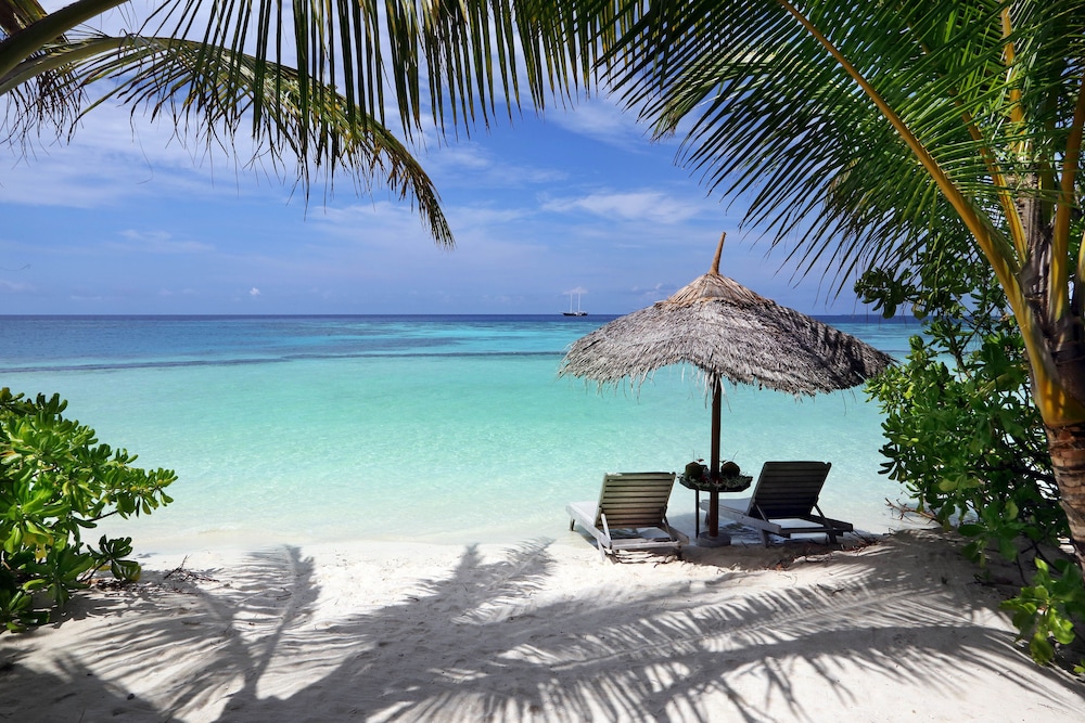 Gangehi Island Resort — снимок 26