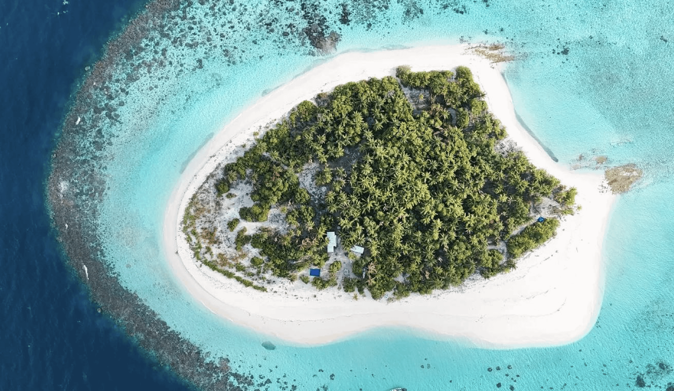 Nilaa Coral Island Maldives — снимок 15