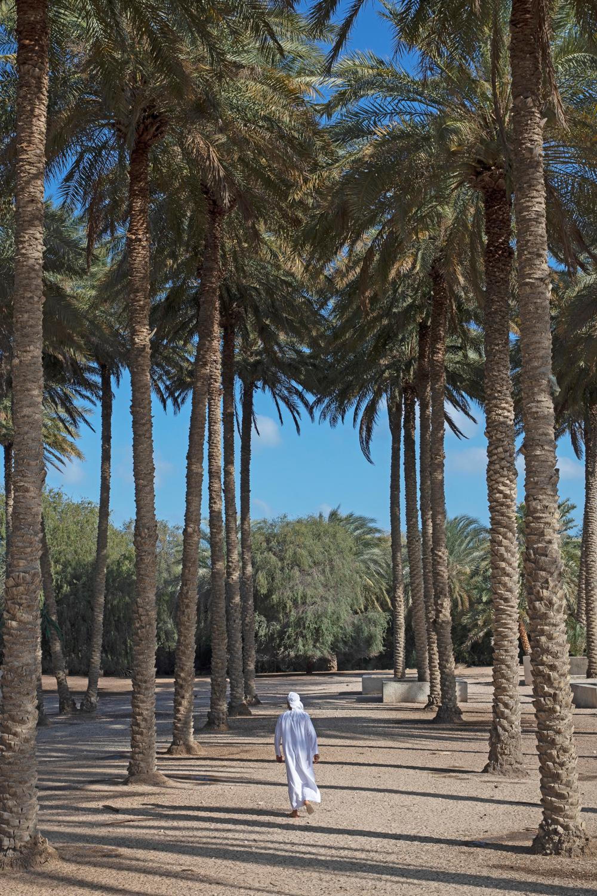 Anantara Sir Bani Yas Island Al Yamm Villa Resort — снимок 24