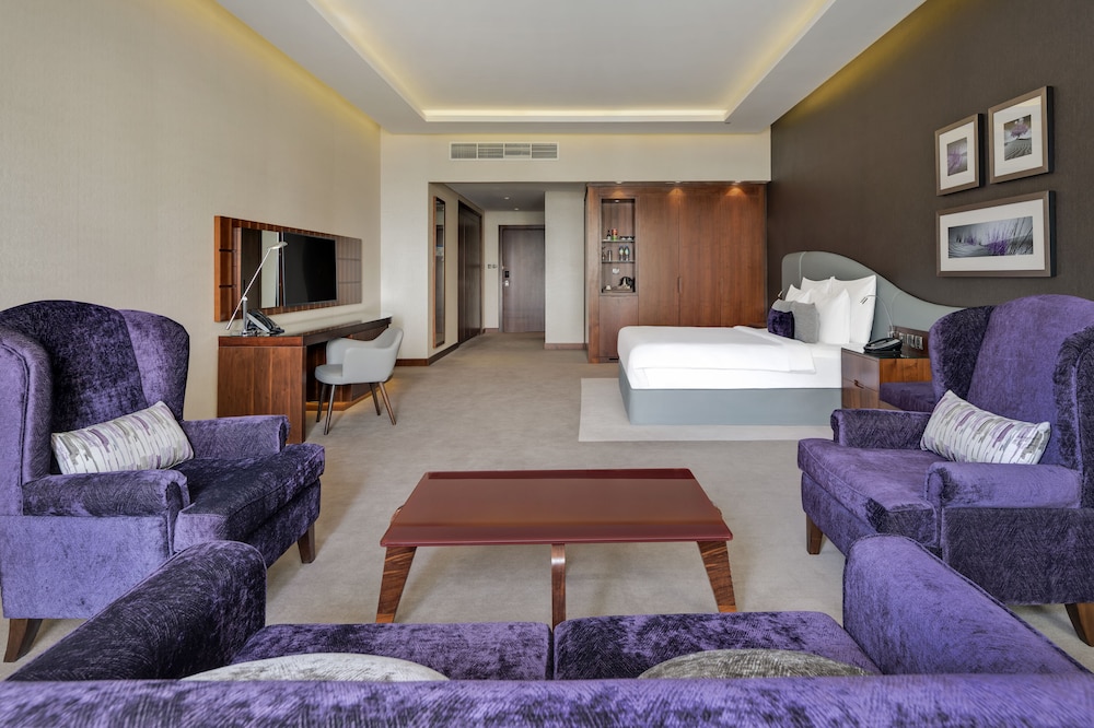 Radisson Blu Hotel Dubai Waterfront — снимок 29