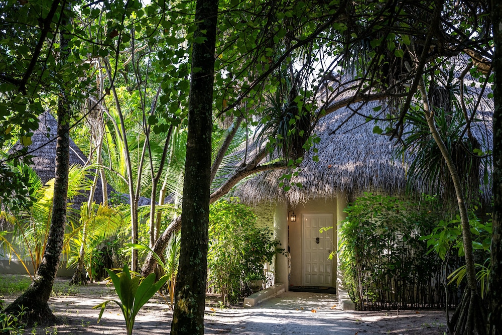 Nika Island Resort and Spa — снимок 16