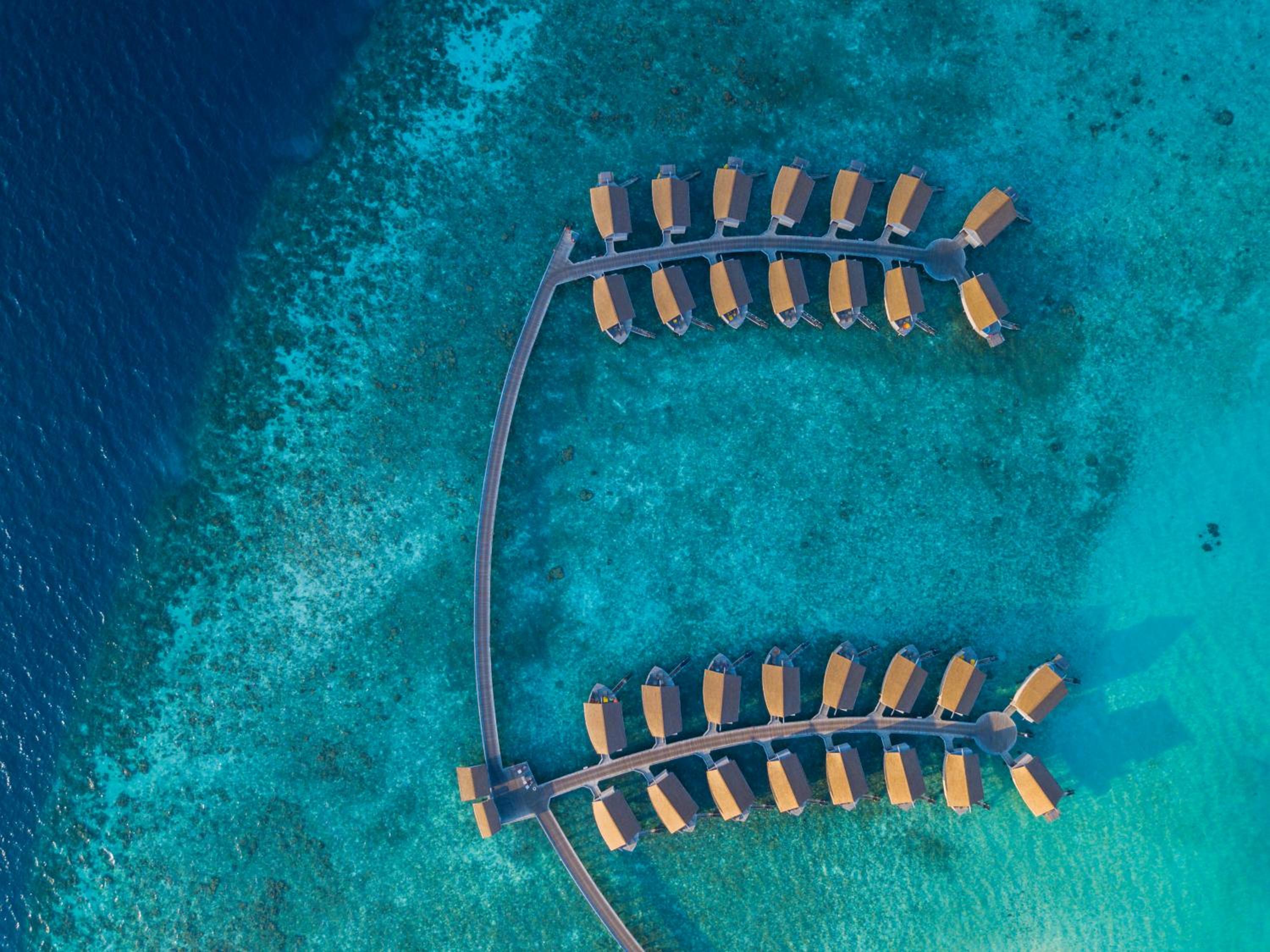 Centara Ras Fushi Resort & Spa — снимок 5