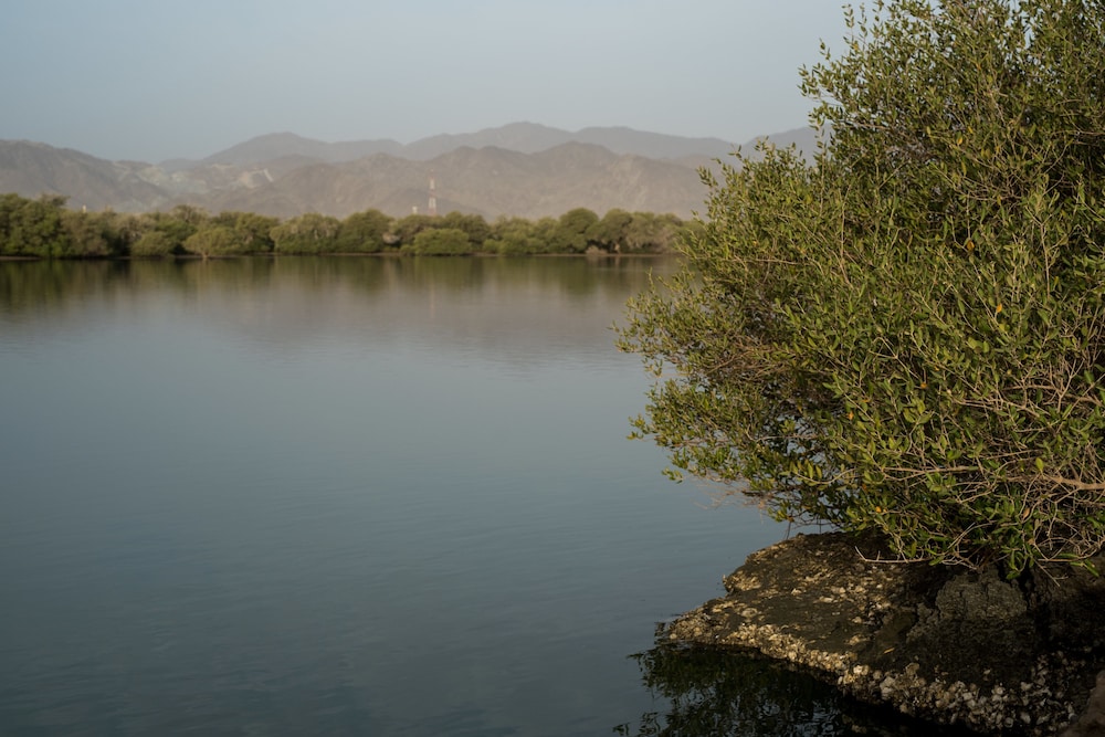 Kalba Kingfisher Lodge — снимок 3