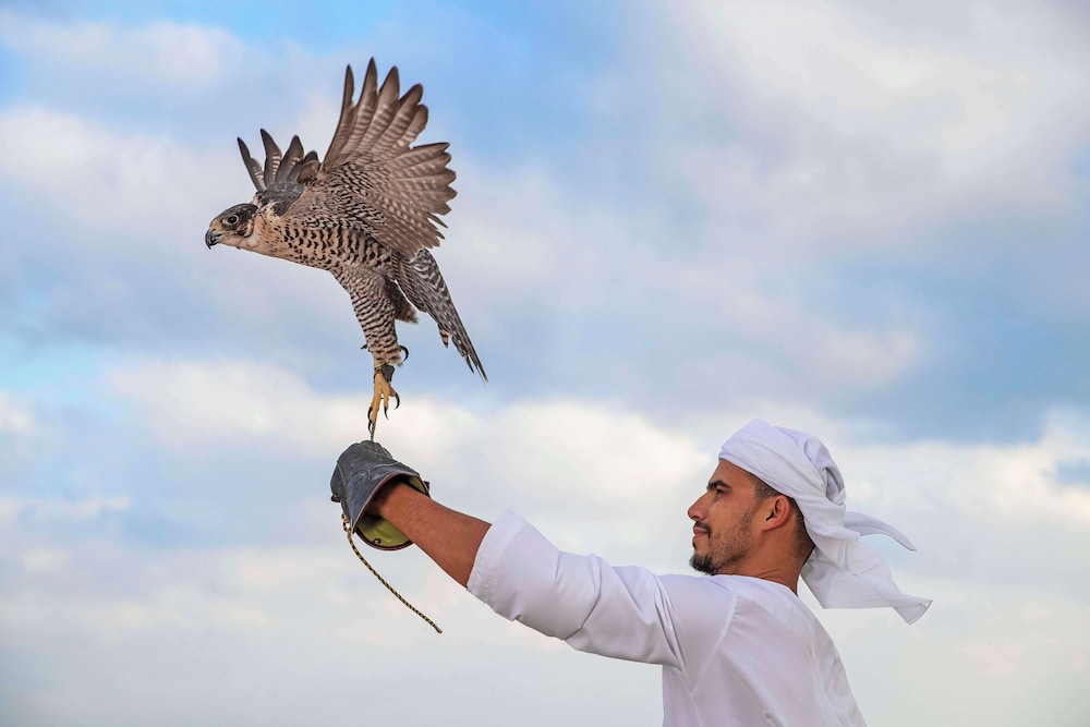 Anantara Al Sahel Villa Resort — снимок 21