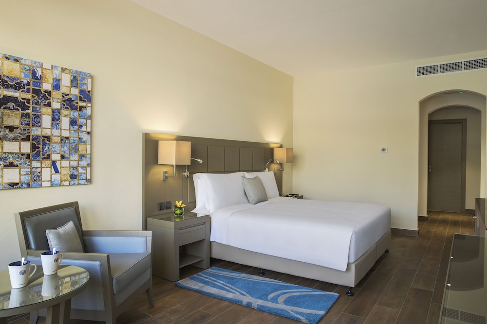 The Cove Rotana Resort — снимок 23
