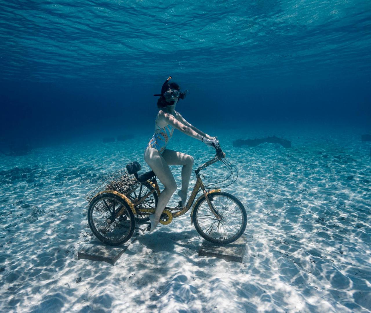 Fushifaru Maldives — снимок 25