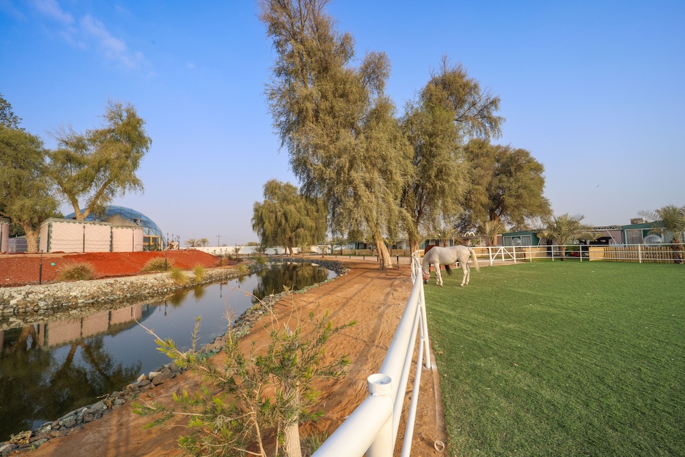 Anavrin Equestrian Retreat — снимок 16