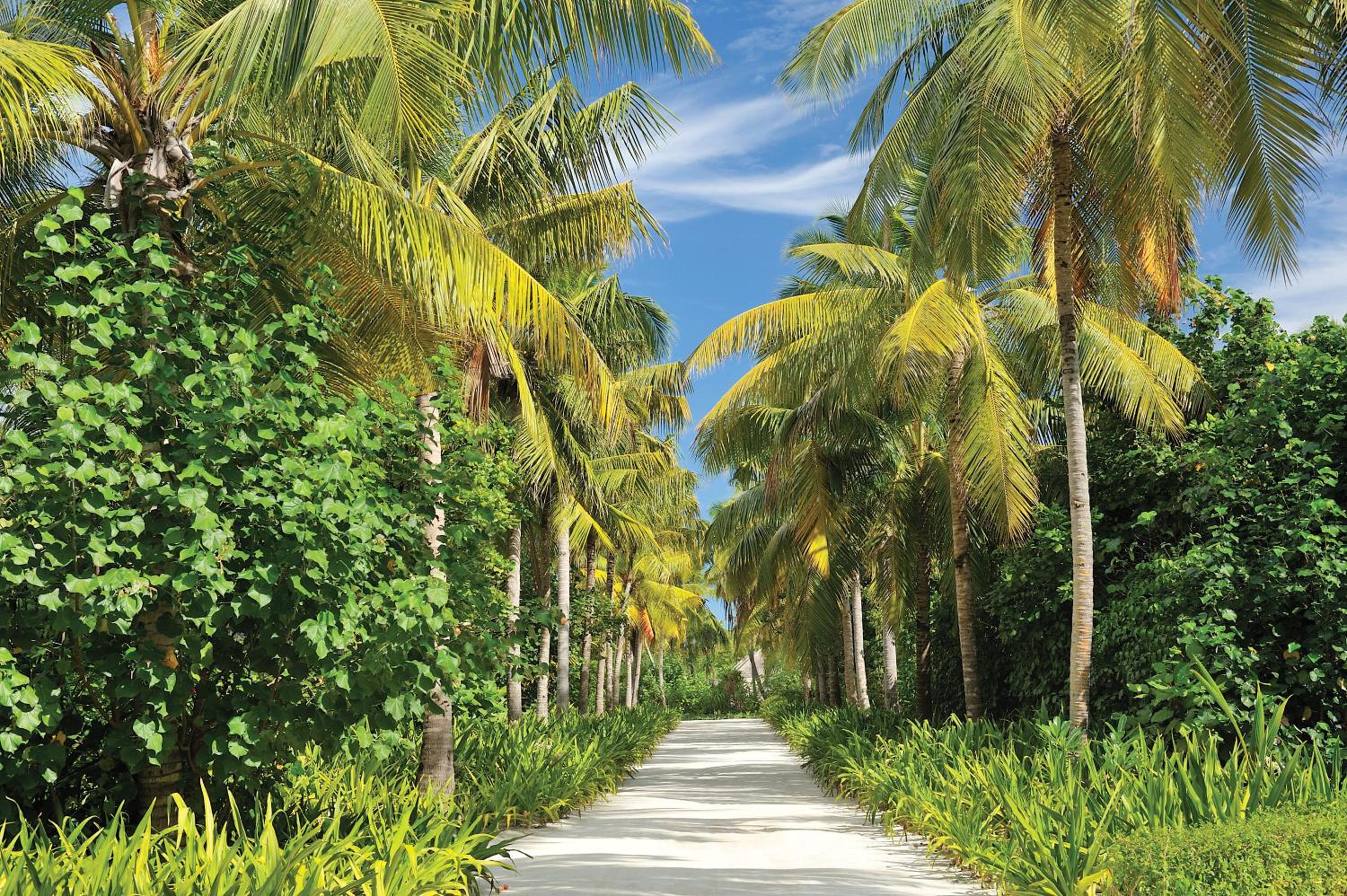 Ayada Maldives — снимок 4