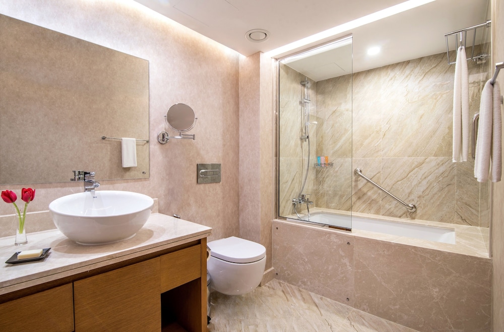 Hyatt Regency Dubai — снимок 8