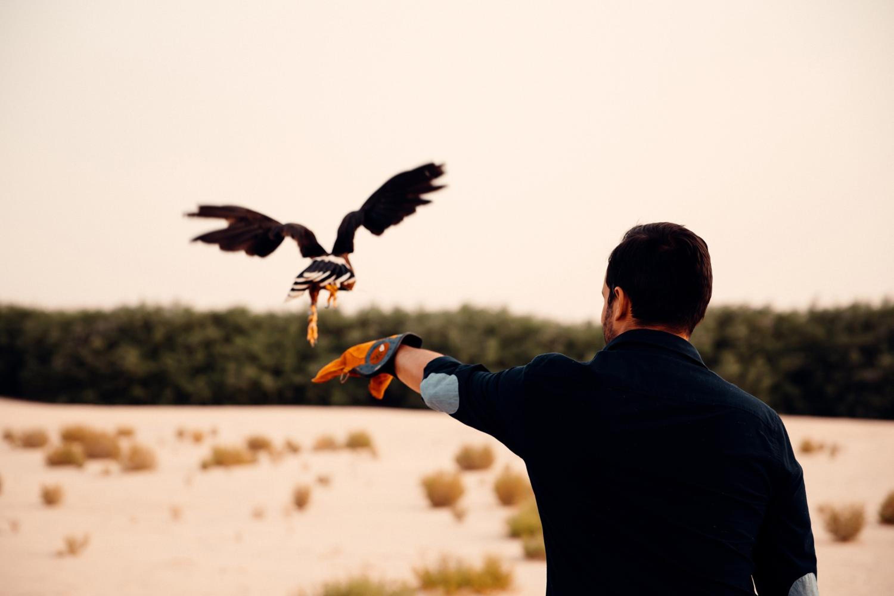 Al Wathba, a Luxury Collection Desert Resort & Spa, Abu Dhabi — снимок 27