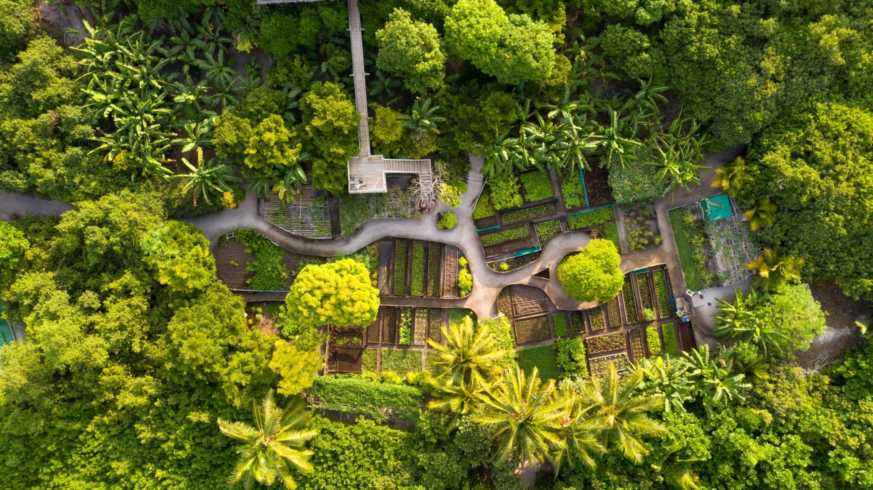 Soneva Fushi Resort — снимок 22