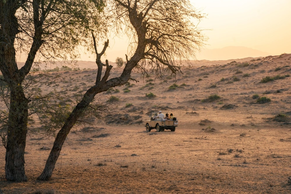 InterContinental Ras Al Khaimah Resort and Spa, an IHG Hotel — снимок 21