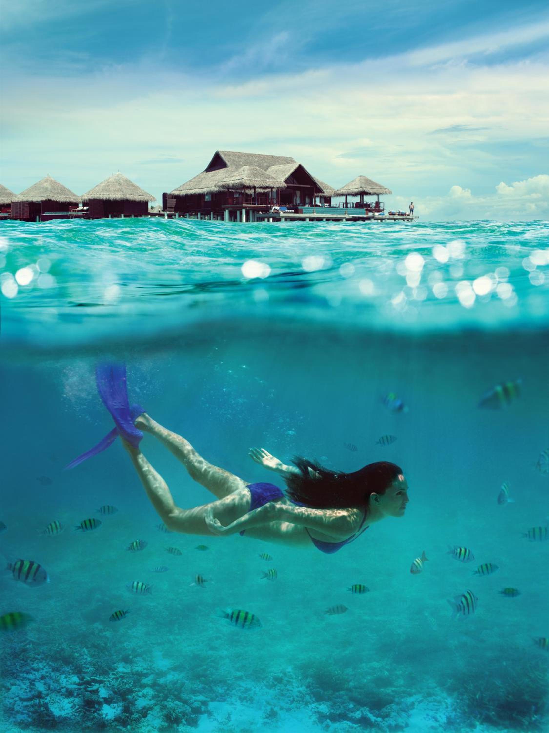 Taj Exotica Resort & Spa Maldives — снимок 17
