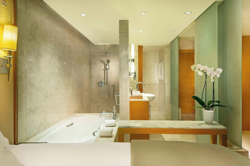 The Ritz-Carlton, Dubai International Financial Centre — снимок 23