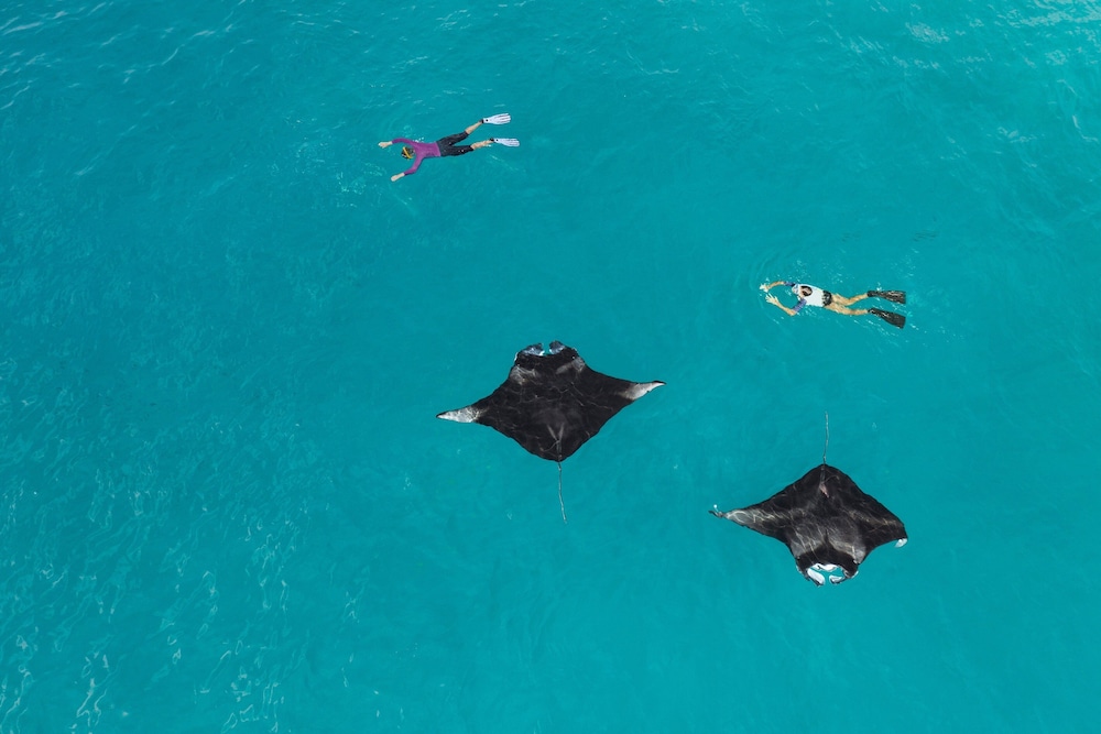 The Westin Maldives Miriandhoo Resort — снимок 18