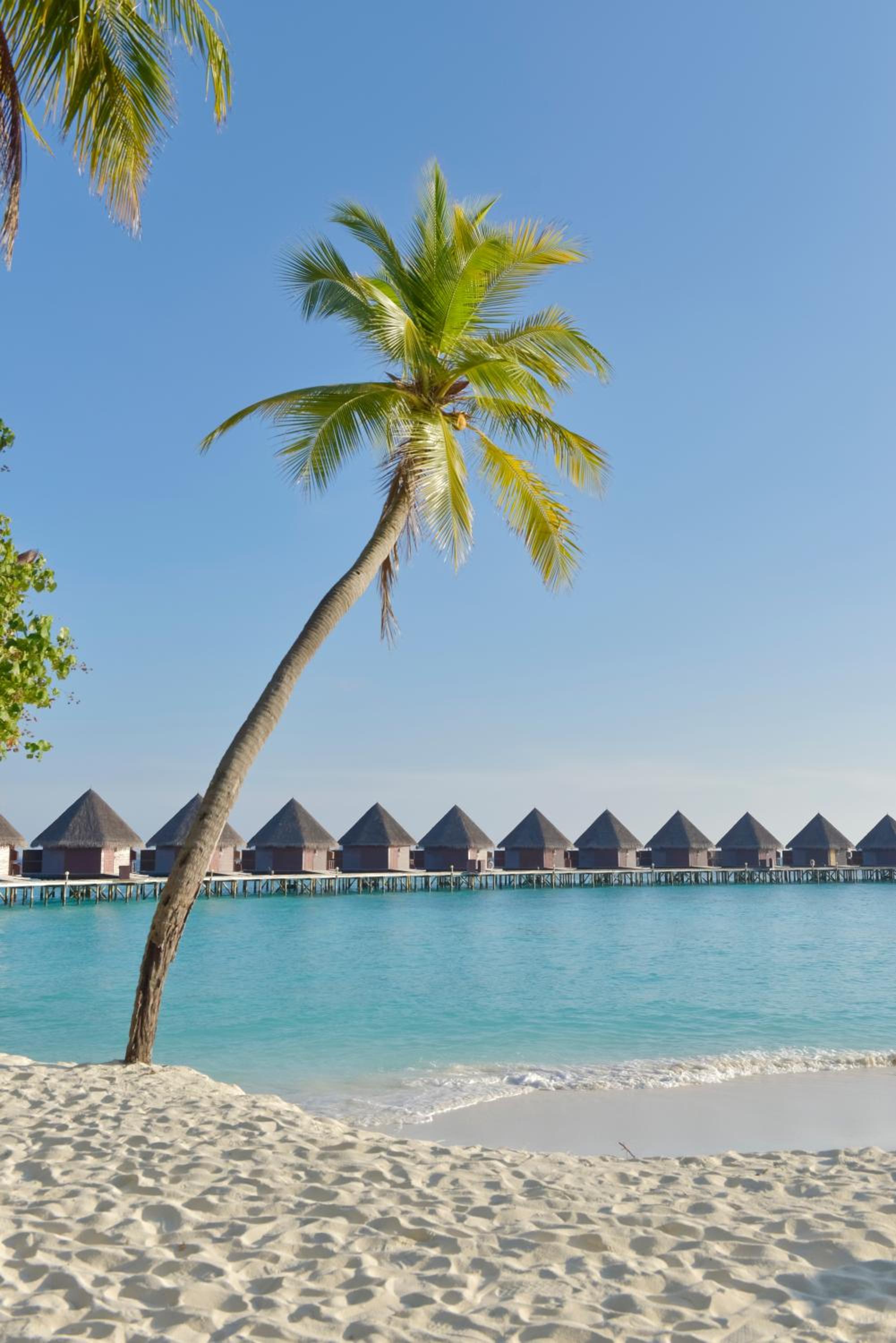 Thulhagiri Island Resort & Spa — снимок 23