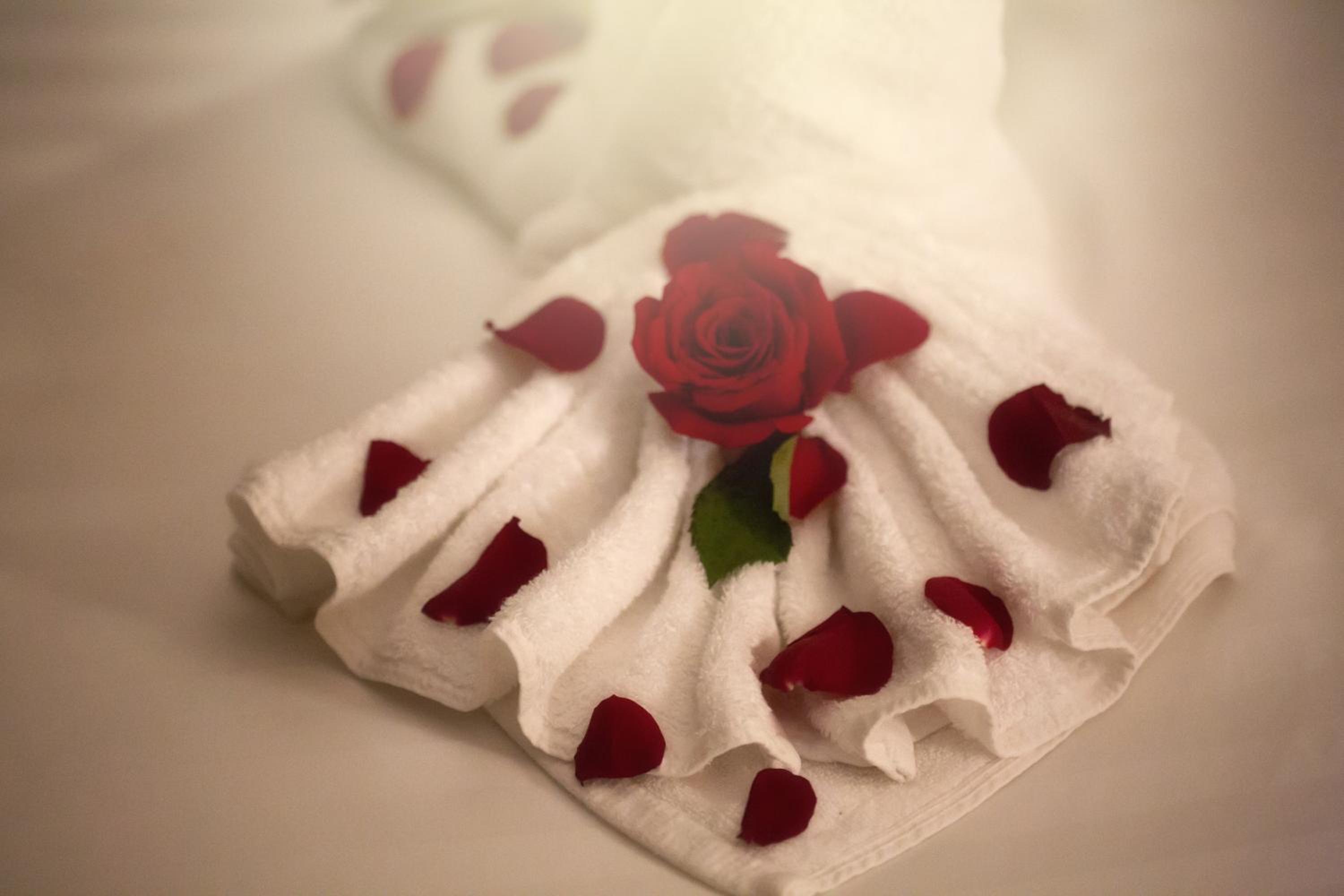 Al Safwah Royale Orchid — снимок 27