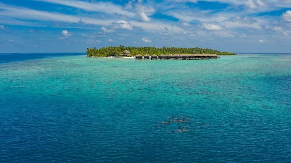 Filitheyo Island Resort — снимок 11