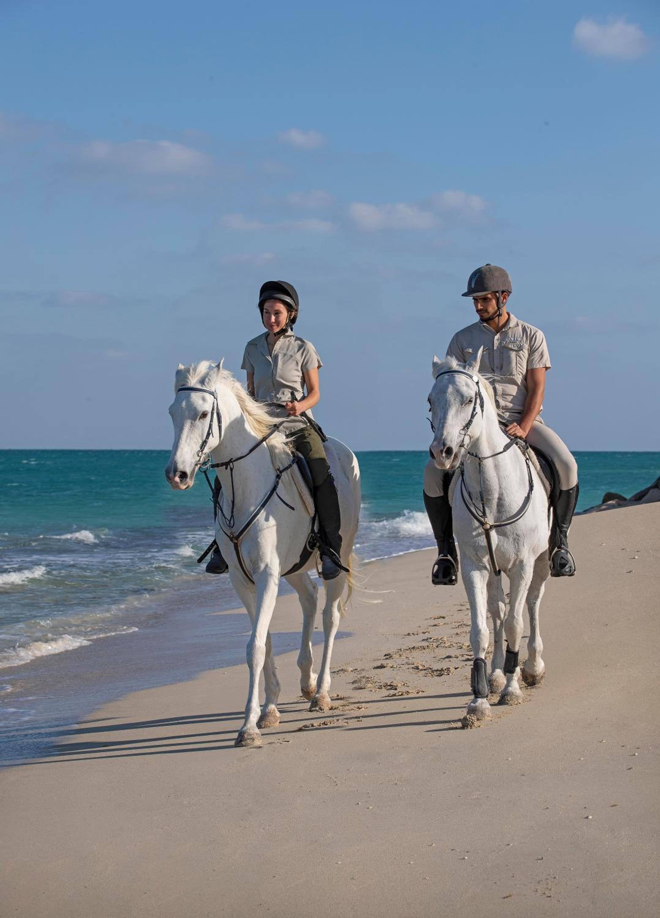 Anantara Sir Bani Yas Island Al Yamm Villa Resort — снимок 14