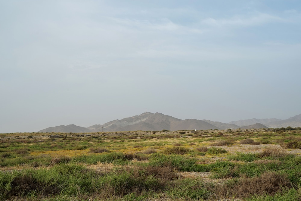 Kalba Kingfisher Lodge — снимок 4