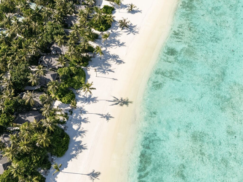 Cocoon Maldives — снимок 15