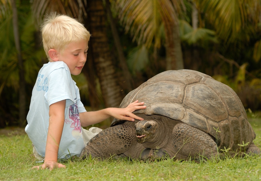 Savoy Seychelles Resort & Spa — снимок 19