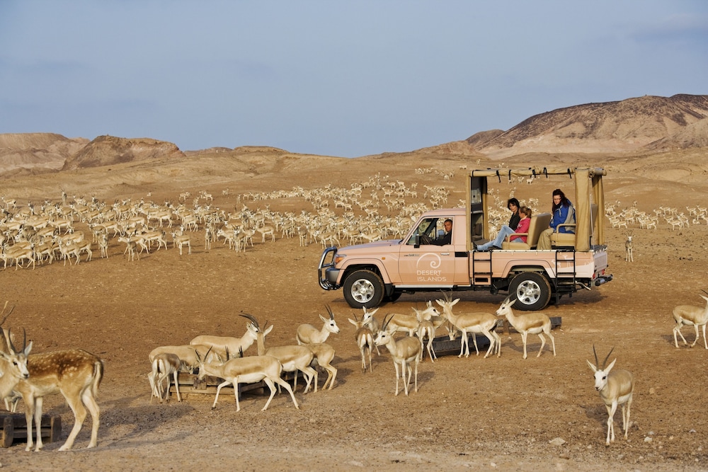 Anantara Al Sahel Villa Resort — снимок 11