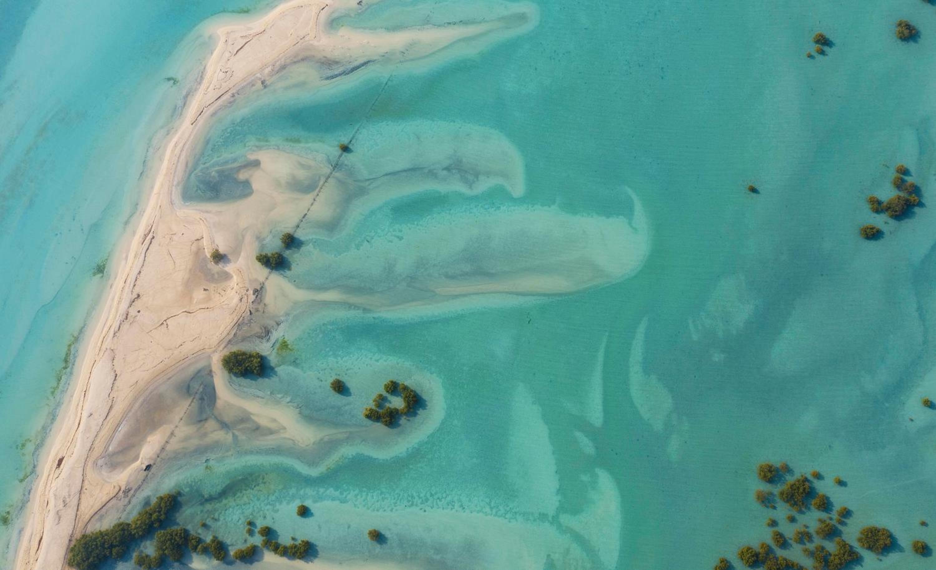 Anantara Sir Bani Yas Island Al Yamm Villa Resort — снимок 3