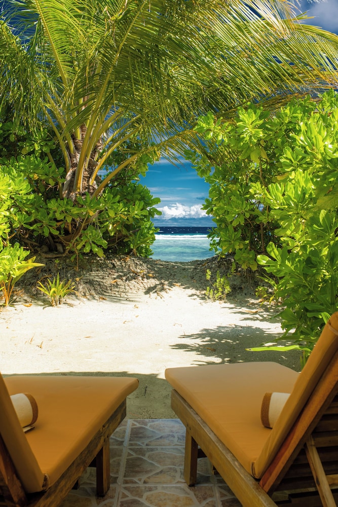 South Palm Resort Maldives — снимок 23