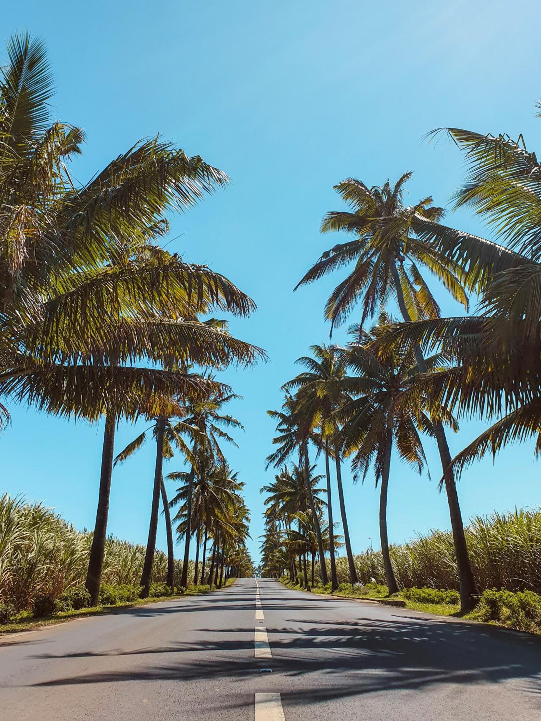 Outrigger Mauritius Beach Resort — снимок 27