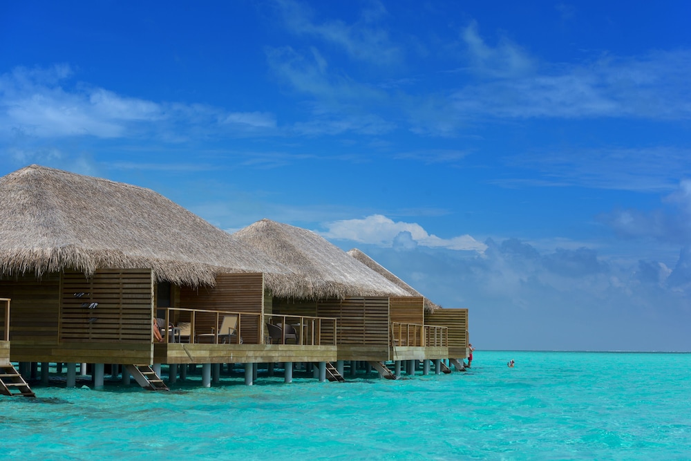Cocoon Maldives — снимок 12