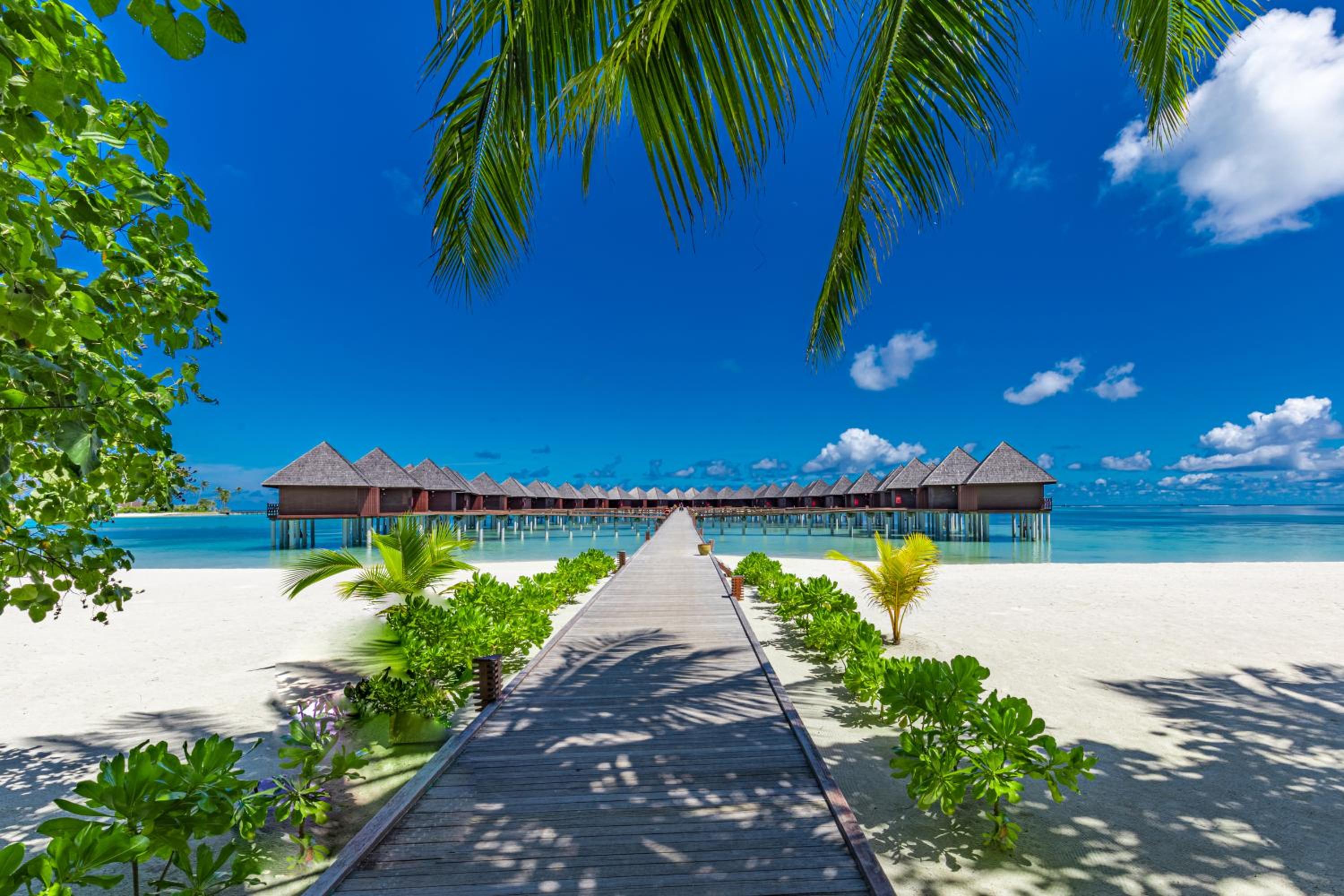 Sun Siyam Olhuveli Maldives — снимок 8