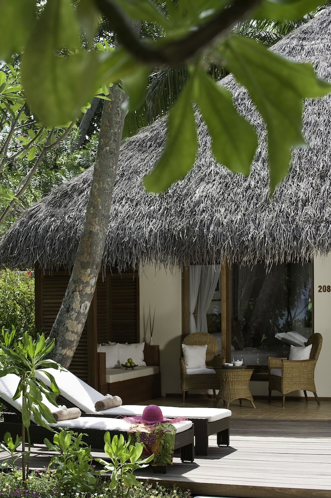 Niva Kuramathi Maldives — снимок 11