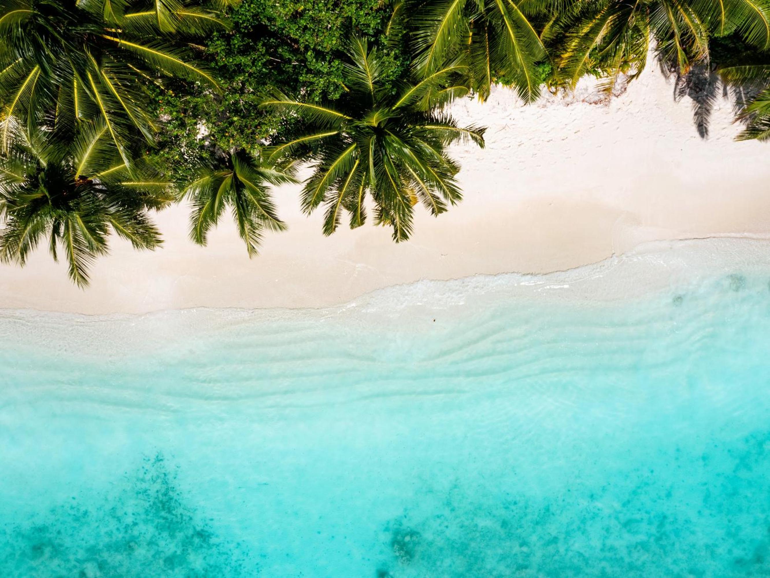 Ayada Maldives — снимок 17
